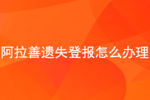 阿拉善遗失登报怎么办理找我要登报网