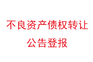 不良资产债权转让公告登报找我要登报网