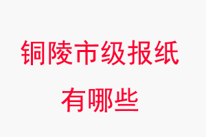 铜陵报纸有哪些，铜陵市级报纸有哪些找我要登报网