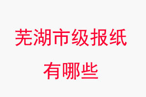 芜湖报纸有哪些，芜湖市级报纸有哪些找我要登报网