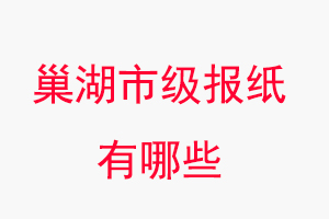 巢湖报纸有哪些，巢湖市级报纸有哪些找我要登报网