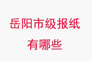 岳阳报纸有哪些，岳阳市级报纸有哪些找我要登报网