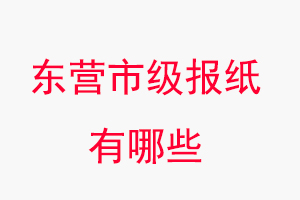 东营报纸有哪些，东营市级报纸有哪些找我要登报网