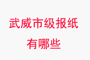 武威报纸有哪些，武威市级报纸有哪些找我要登报网