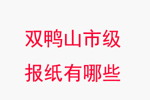 双鸭山报纸有哪些，双鸭山市级报纸有哪些找我要登报网