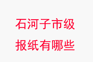 石河子报纸有哪些，石河子市级报纸有哪些找我要登报网