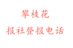 攀枝花报社登报，攀枝花报社登报电话找我要登报网