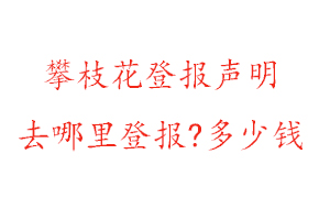 攀枝花登报声明去哪里登报?多少钱找我要登报网